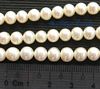 Freshwater Pearls ~ Round 6-7mm WHITE x 67